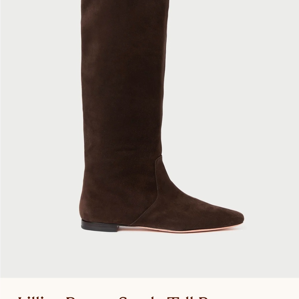 NWT Loeffler Randall Lillian Brown Suede Tall Boot